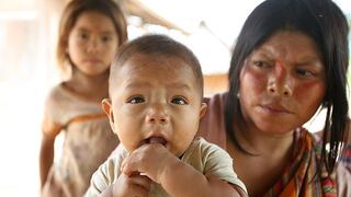 Perú cumple con las metas de la FAO en la lucha contra el hambre mundial