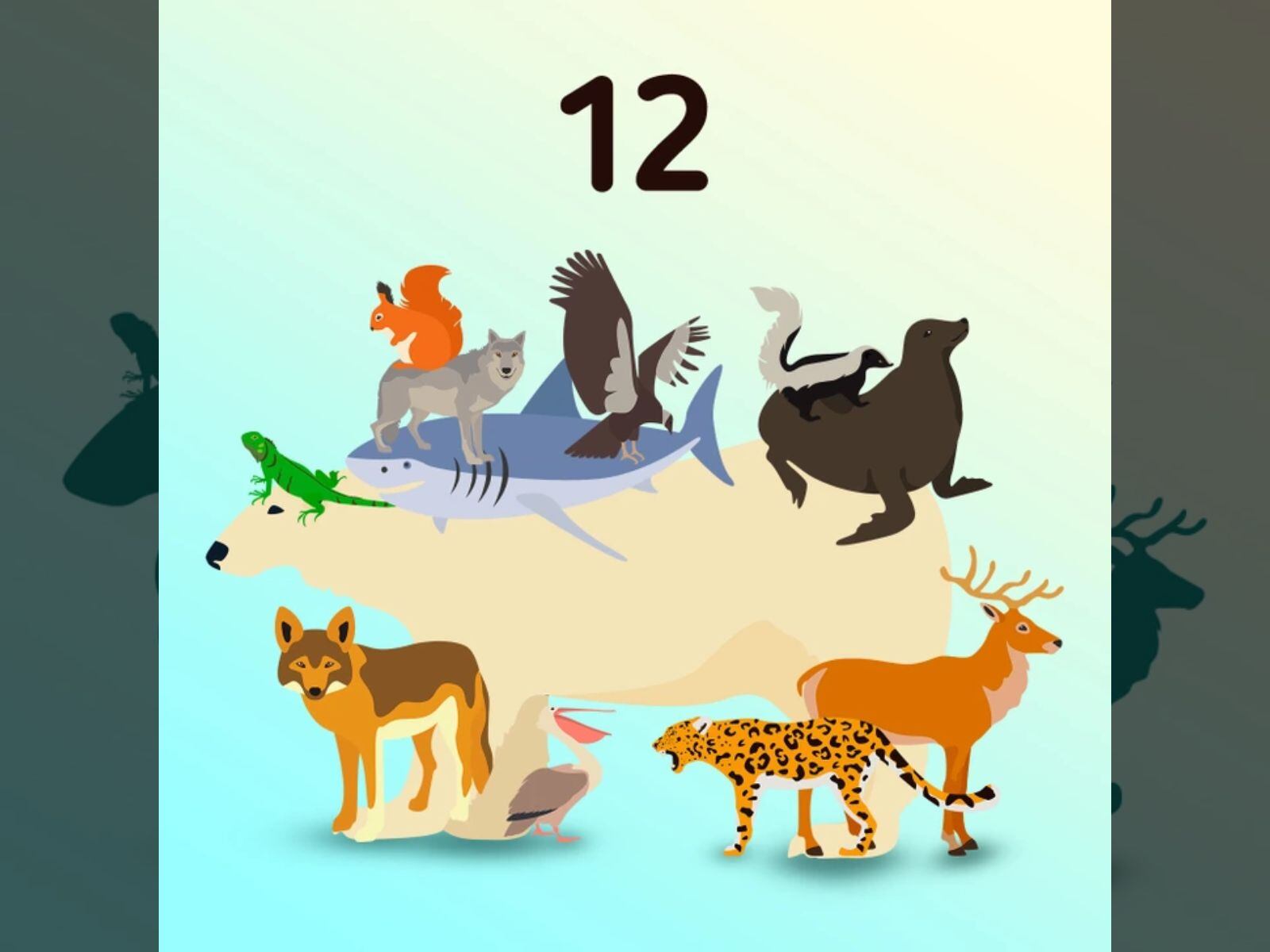 En esa silueta existen un total de 12 animales escondidos que se destacan entre animales terrestres, acuáticos y aéreos. ¿Acertaste? (Crédito: Genial Guru)