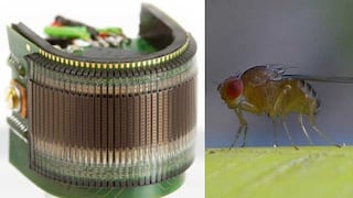 Un ojo artificial inspirado en los de una mosca