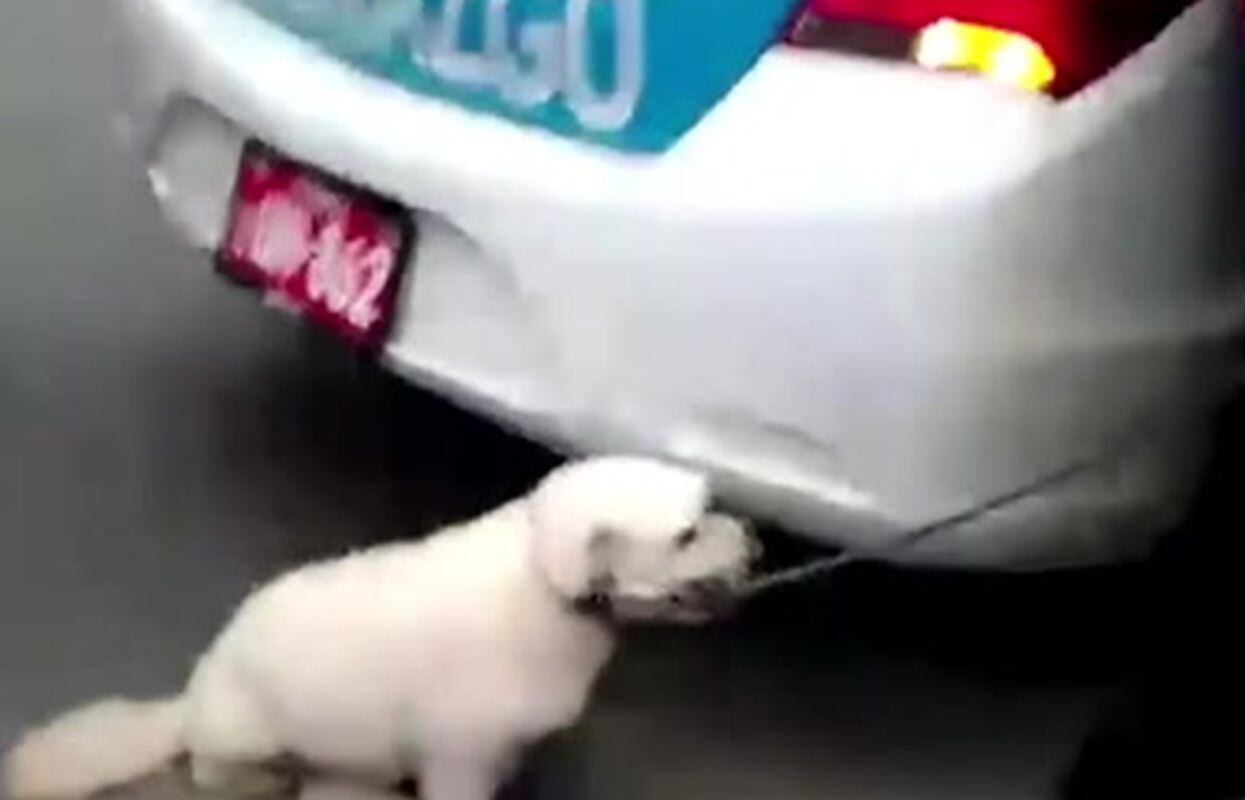 Fueron trasladarlos hasta la Comisaría de Sagitario. Foto: América Noticias