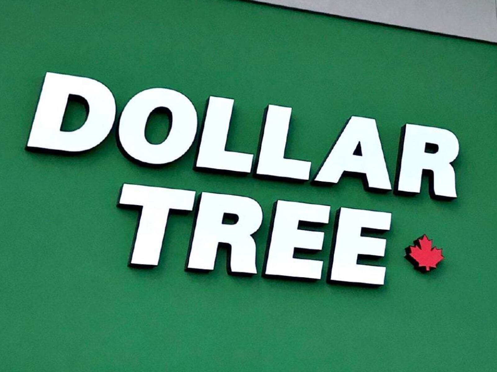 Dollar Tree es una de las tiendas favoritas si quieres ahorrar o tienes un presupuesto limitado (Foto: Dollar Tree)