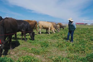 MIDAGRI impulsa riego tecnificado en Puno y beneficia a familias de Yocará y Tusini Grande