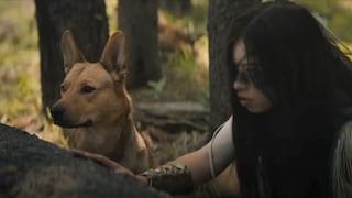 “Depredador: La presa”: ¿cuál es la historia de Coco, la perrita que todos aman gracias a la película?