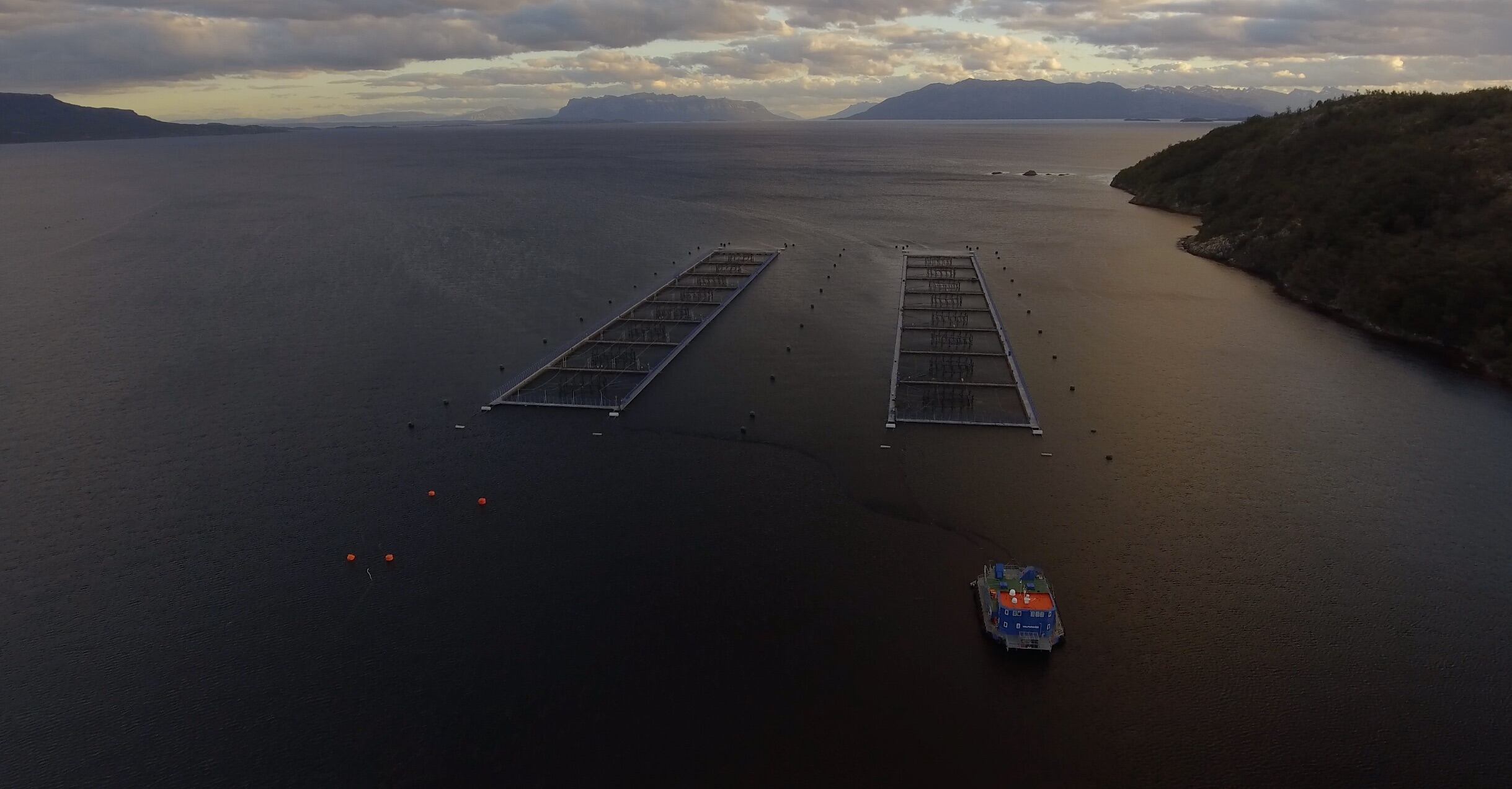 Centros de cultivo de salmones en la Patagonia chilena. Crédito: Nicolás Muñoz, Centro Ballena Azul – Universidad Austral de Chile.