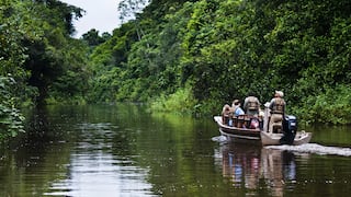 Crean el primer fondo privado para reforestar la Amazonía