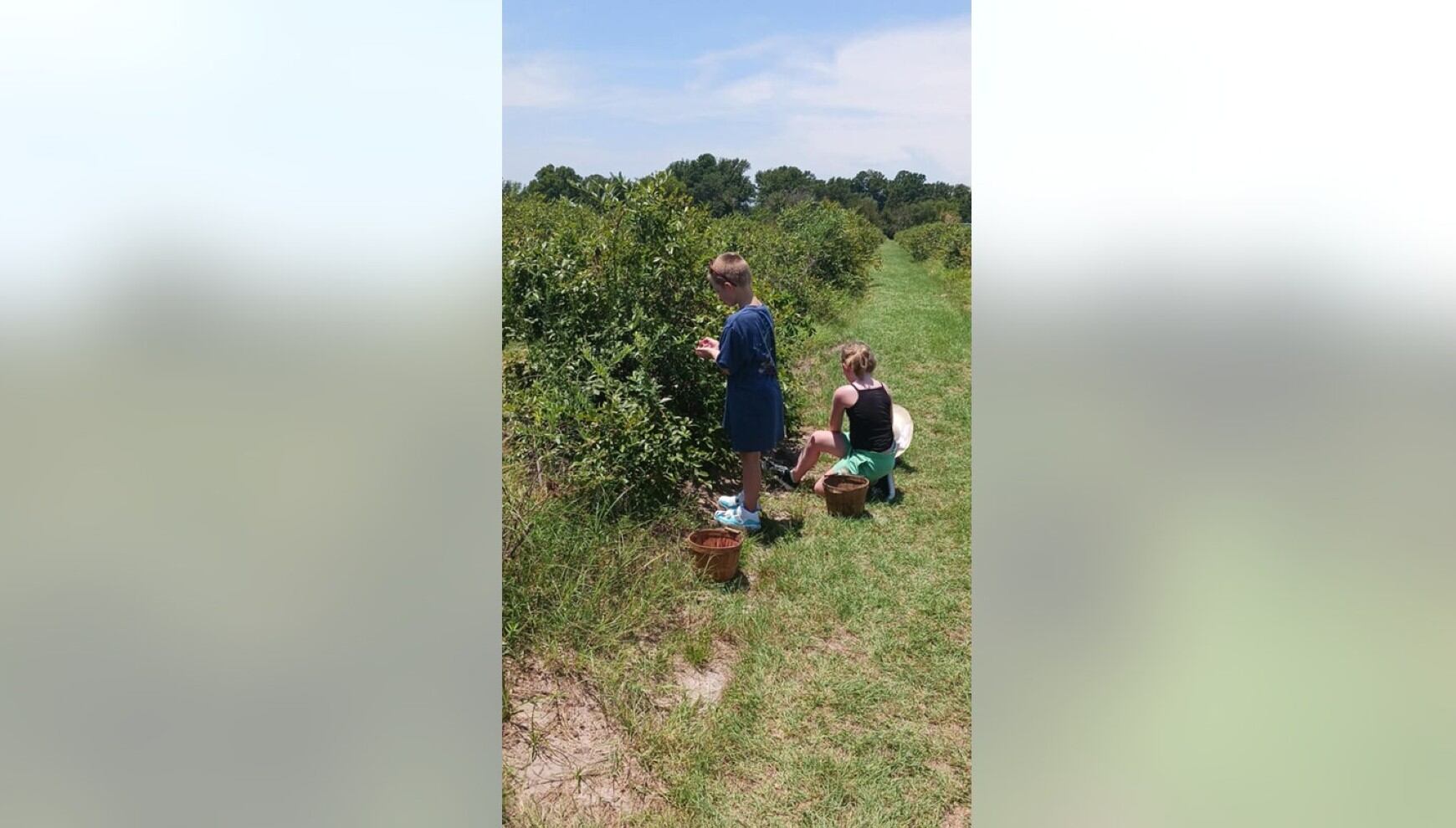 Allen Gage se ganó un lugar para competir en el concurso "Best of Show" en la Feria Estatal de Texas. (Roseanne Parsons)