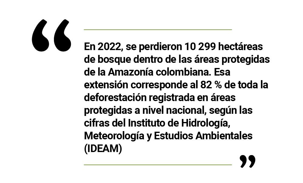 Violencia en la Amazonía de Colombia: guardaparques desplazados y 14 áreas protegidas disputadas por grupos armados ilegales