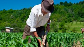 Reglamento de la nueva ley agraria fue publicado: ¿Qué observaciones tienen los especialistas?