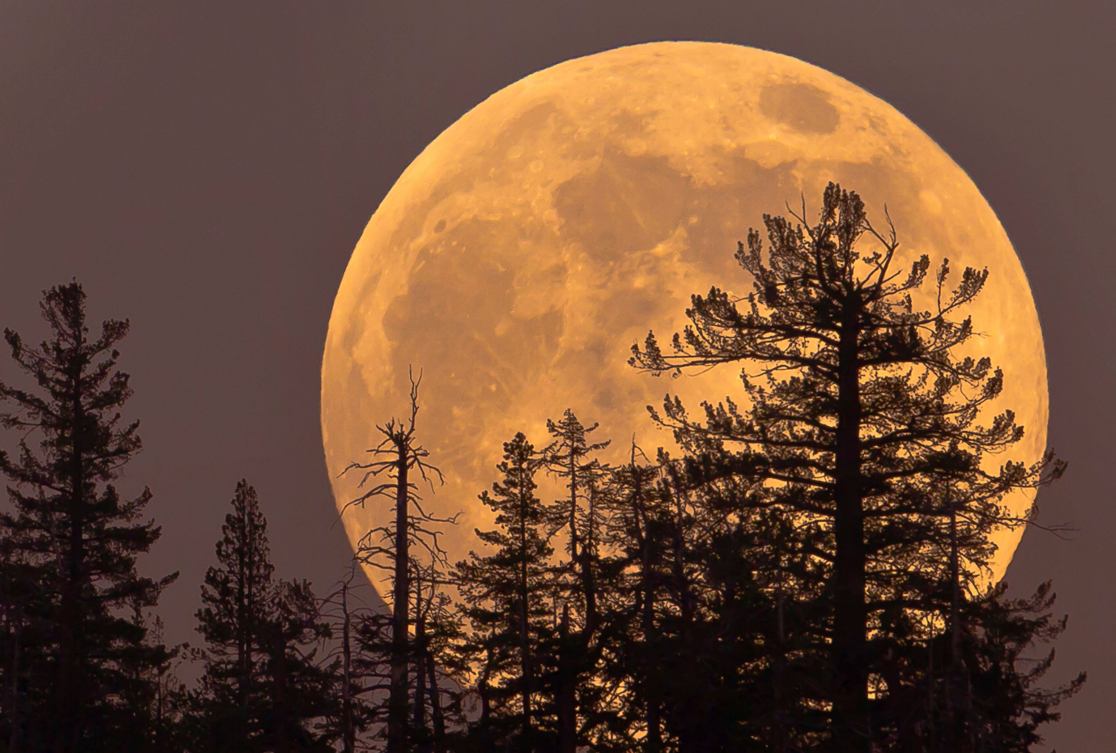 Una superluna se eleva en Yosemite. (Foto: pjsells/iStock)