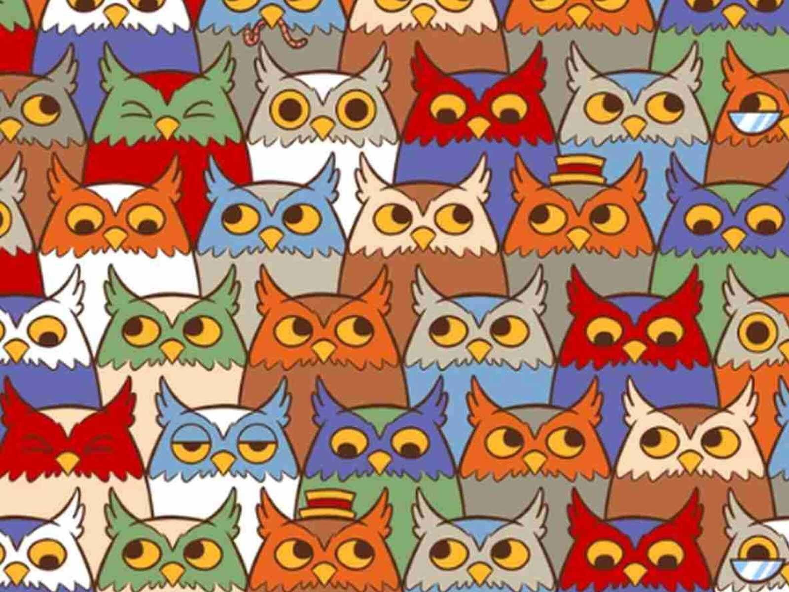 RETO VISUAL | En esta imagen se puede apreciar una gran cantidad de búhos. Entre ellos, hay un gato. (Foto: genial.guru)