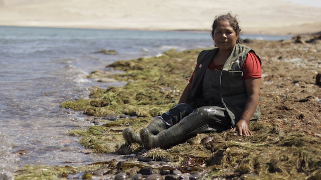 Verónica Canelo, una guardiana voluntaria del medio ambiente en Paracas