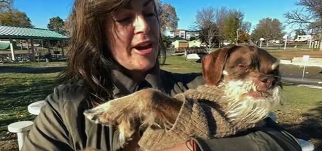 El perro mayor que no podía caminar porque le robaron su silla de ruedas, vuelve a moverse gracias a una comunidad