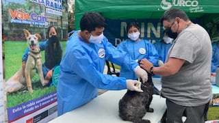 Vancan: más de 228.000 canes serán vacunados contra la rabia desde hoy en Lima Sur