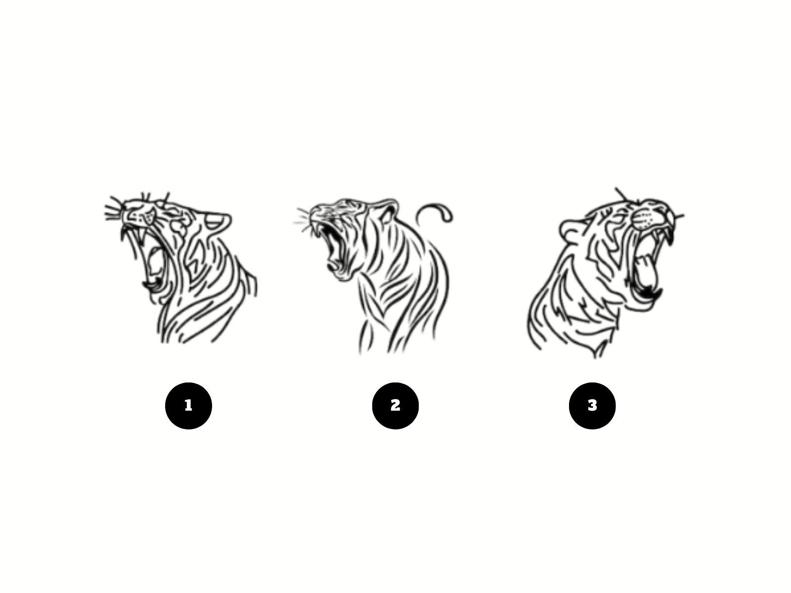 Test de personalidad: Uno de estos tigres te indicará si sueles ser sincero con los demás. (Creación: Mag)