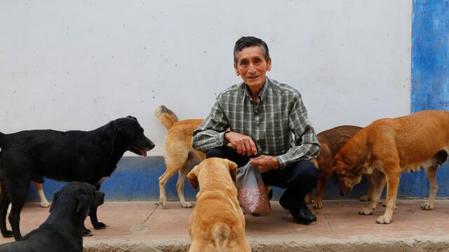 Rubén Huatuco, el ángel de las mascotas abandonadas en las calles de Huaral