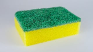 ¿Tienes plantas? Esta es la razón por la que no debes tirar tus esponjas usadas