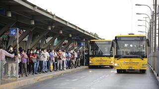 ¿Qué horarios tendrán los servicios de transporte público los días 24 y 25 de diciembre? 