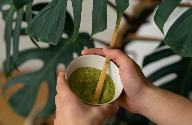 Se trata del matcha, un té verde en polvo rico en antioxidantes y aminoácidos, que contiene taninos capaces de interferir temporalmente en la absorción del hierro, sobre todo en dietas vegetales. (Foto referencial: Freepik)