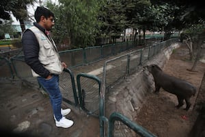 ¿Dónde queda la nueva sede del Parque de las Leyendas? Revisa aquí el precio de las entradas