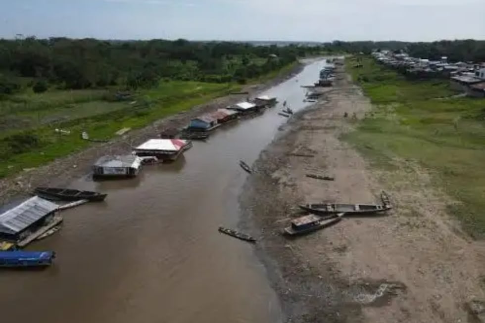 El Niño de fuerte intensidad podría reducir las lluvias y acelerar el descenso de los ríos en la Amazonía. (Foto: Andina)
