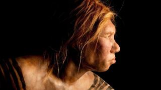Cómo la huella genética de los neandertales influye en nuestra vida diaria