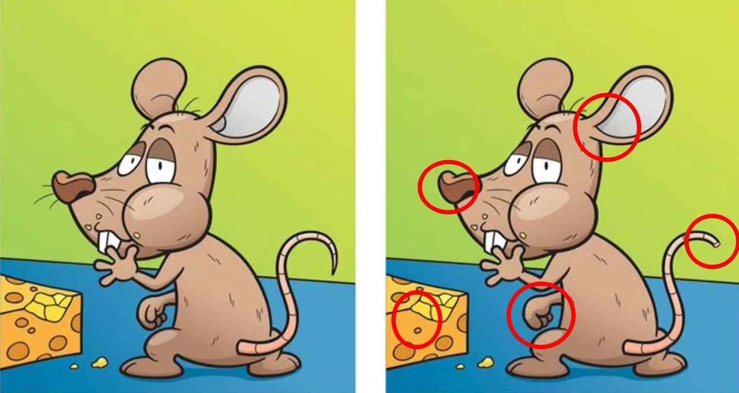 RETO VISUAL | He encerrado en círculos rojos las 5 diferencias que hay entre ambas imágenes. | jagranjosh