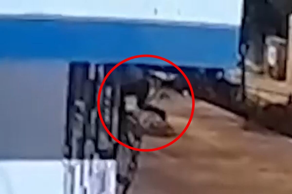 Un joven recibió al menos siete heridas de arma blanca en VES. (Foto: Captura/América Noticias)