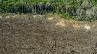 La Amazonía brasileña registra la mayor deforestación de los últimos 15 años