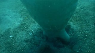 Copas de Neptuno, las esponjas gigantes usadas como bañeras para niños