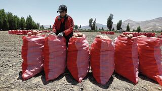 Ley agraria: AGAP presentará hoy su propuesta ante la Comisión de Economía del Congreso