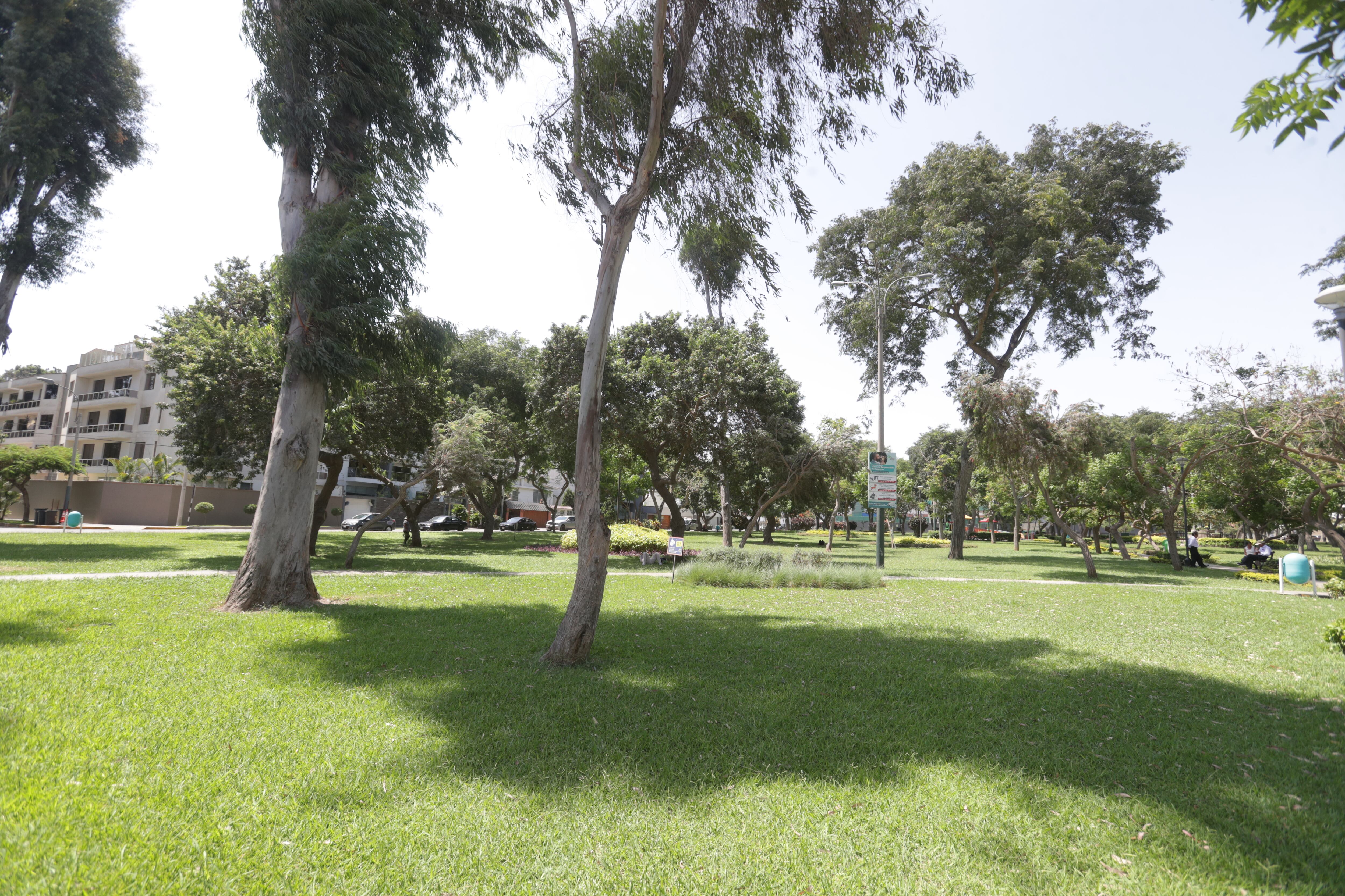Tener áreas verdes con sombras va a propiciar la actividad física (foto: Alessandro Currarino).