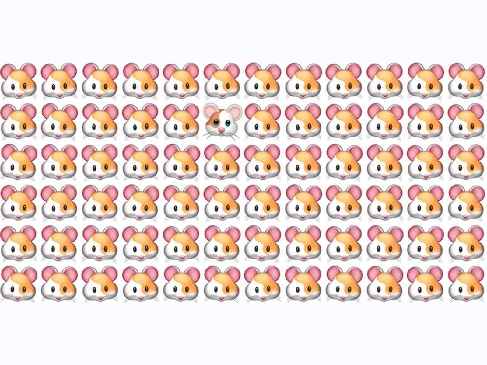 RETO VISUAL | Las personas con la mayor atención al detalle pueden detectar algún ratón en la imagen en 5 segundos. ¿Eres uno de ellos? | jagranjosh