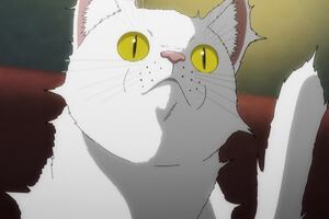 “Nyaight of the Living Cat”, el anime de Crunchyroll sobre un virus que convierte a los humanos en gatos