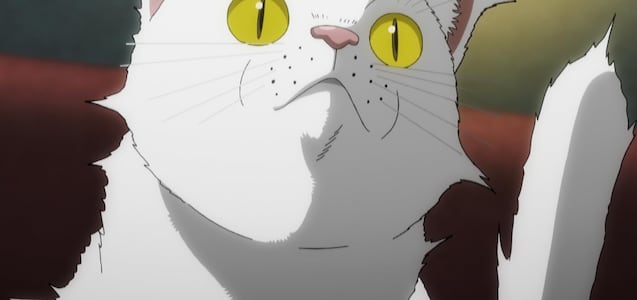 “Nyaight of the Living Cat”, el anime sobre un virus que convierte a los humanos en gatos