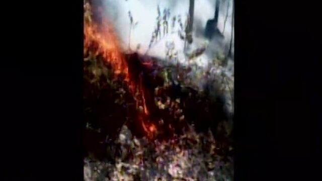 Pasco: realizan trabajos para extinguir incendio forestal en Vilcabamba