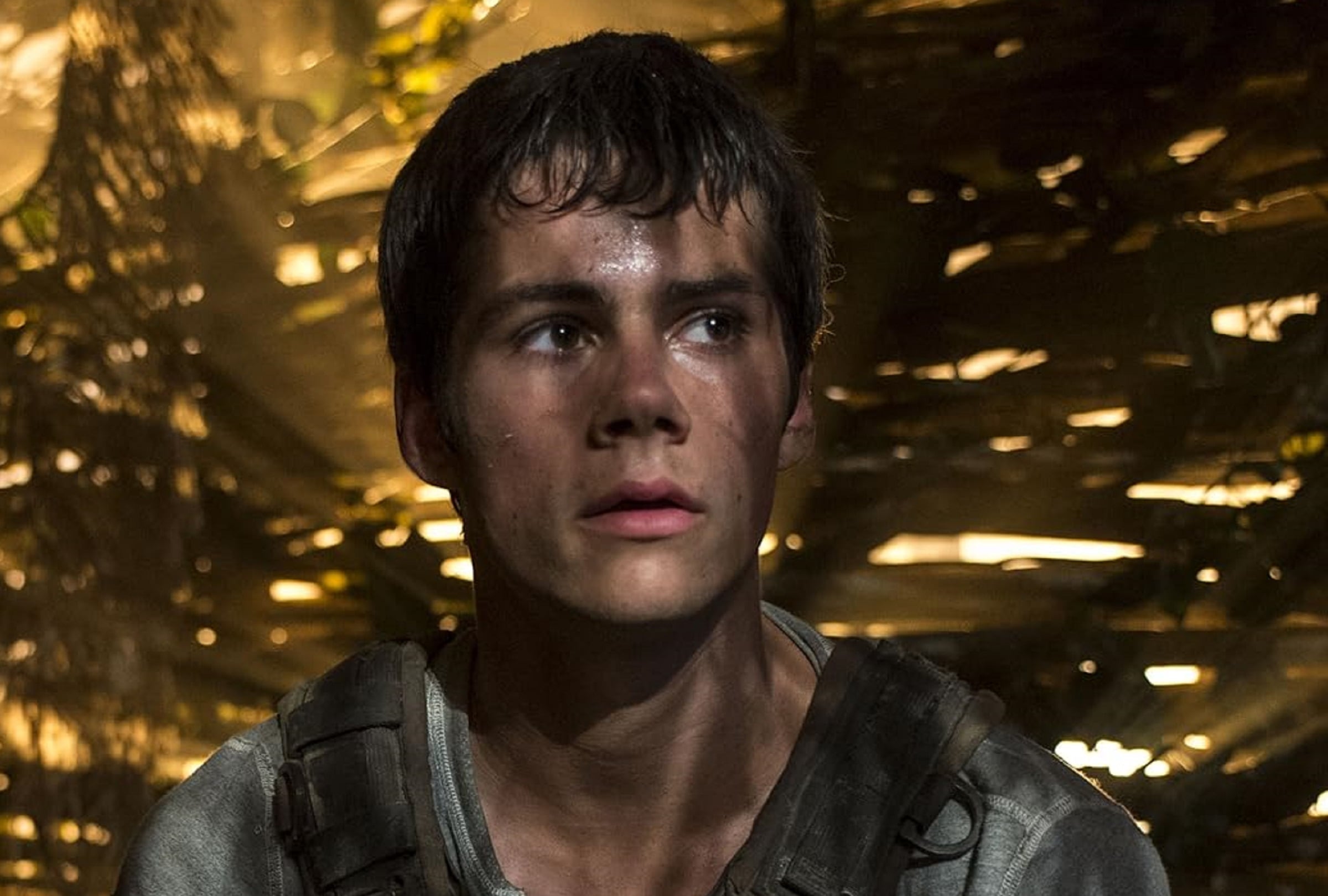 Dylan O'Brien interpretó a Thomas en la película "Maze Runner: Correr o morir", dirigida por Wes Ball (Foto: 20th Century Fox)