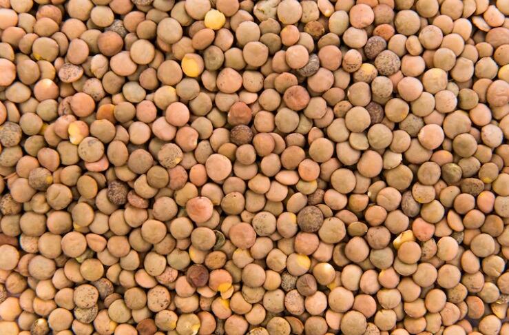 Expertos señalan que contienen fibra, proteína vegetal y minerales esenciales que ayudan a la digestión, la salud del corazón y el control del azúcar en sangre. (Foto referencial: Freepik)