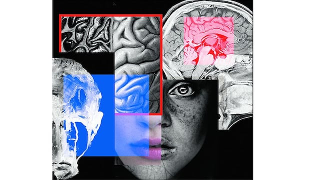 Salud mental en Perú: cifras reales frente a mitos y discursos digitales