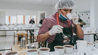 Taza de Excelencia Perú 2021: ¿Cómo se realiza la intensa búsqueda del mejor café peruano?