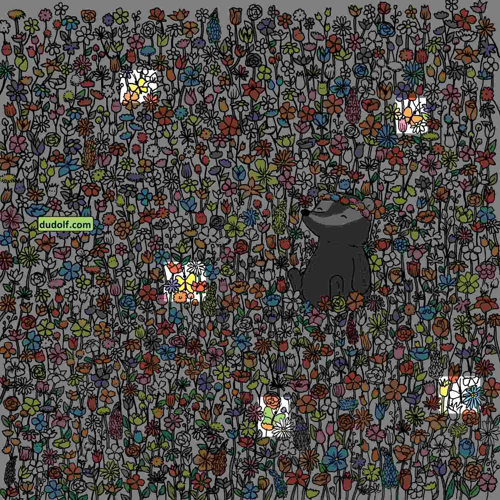 RETO VISUAL | En esta imagen se indica la ubicación de las 5 mariposas. (Foto: dudolf.com)