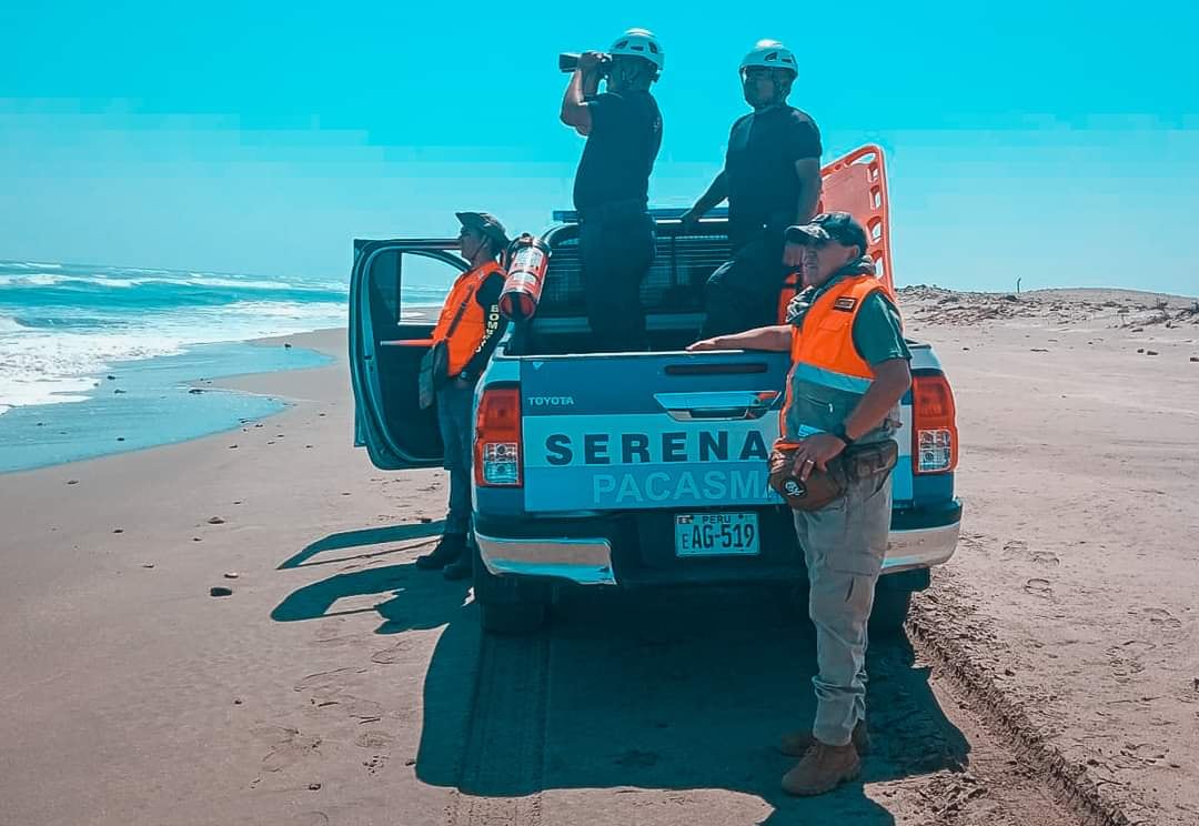 El Gobierno Regional de La Libertad, en conjunto con las municipalidades distritales de Pacasmayo, San Pedro de Lloc y Santiago de Cao, están desarrollando la búsqueda por tierra con camionetas y drones. (Foto: Gore La Libertad)