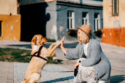 ¿Hablas con tu mascota todos los días? Esto revela sobre tu personalidad, según la psicología