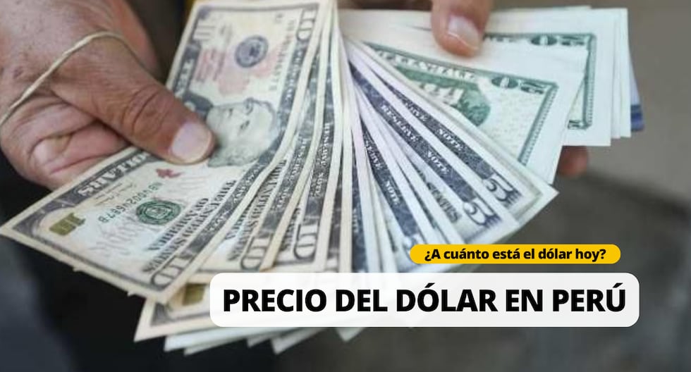 Dólar en Perú hoy, viernes 24 de mayo 2024: Cuál es la cotización del tipo de cambio según el BCRP  | Foto: Diseño EC