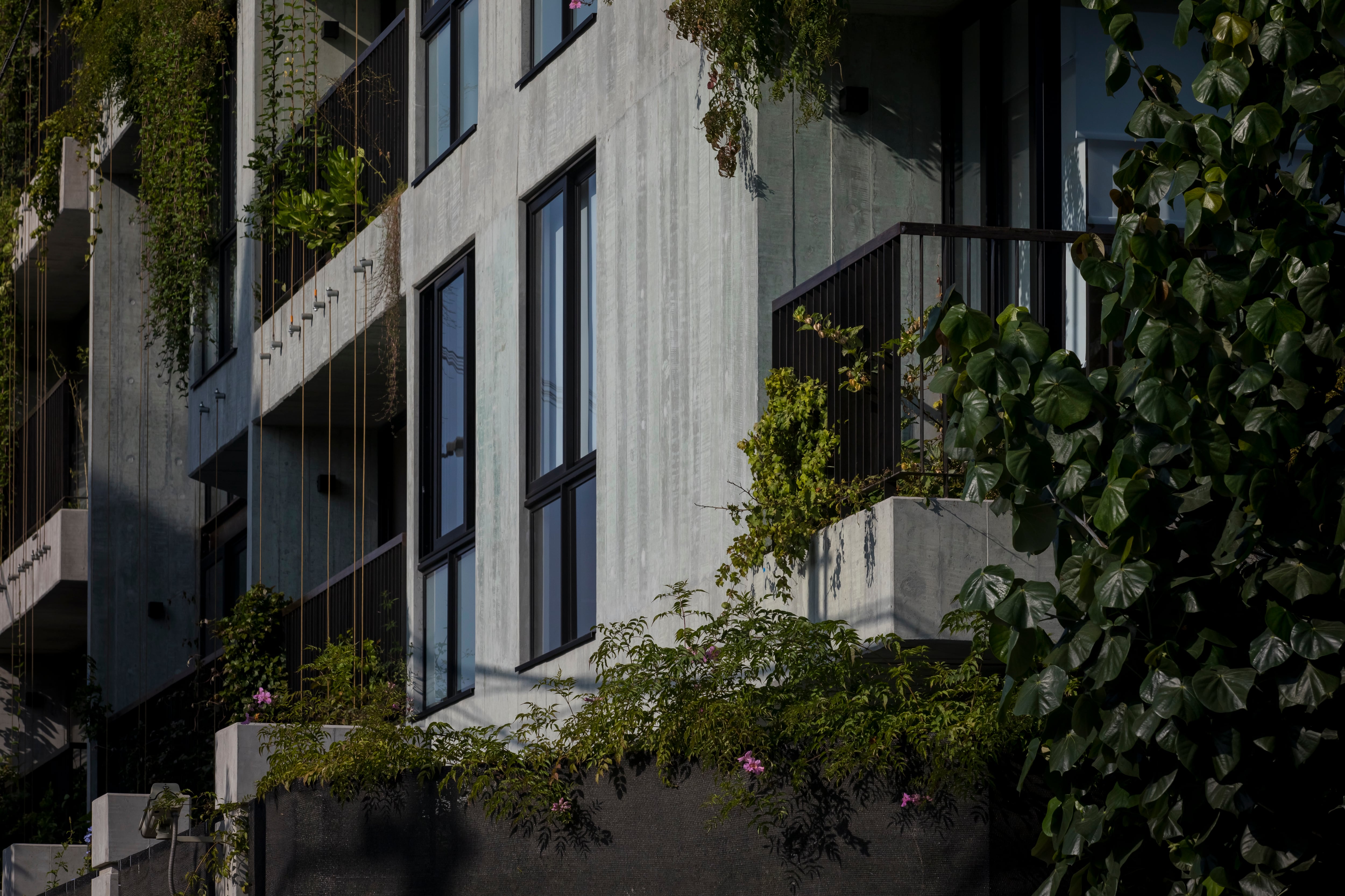 Detalle de la fachada en concreto expuesto de Torres Paz, material elegido por Solar para reducir mantenimiento y mejorar el envejecimiento del edificio.