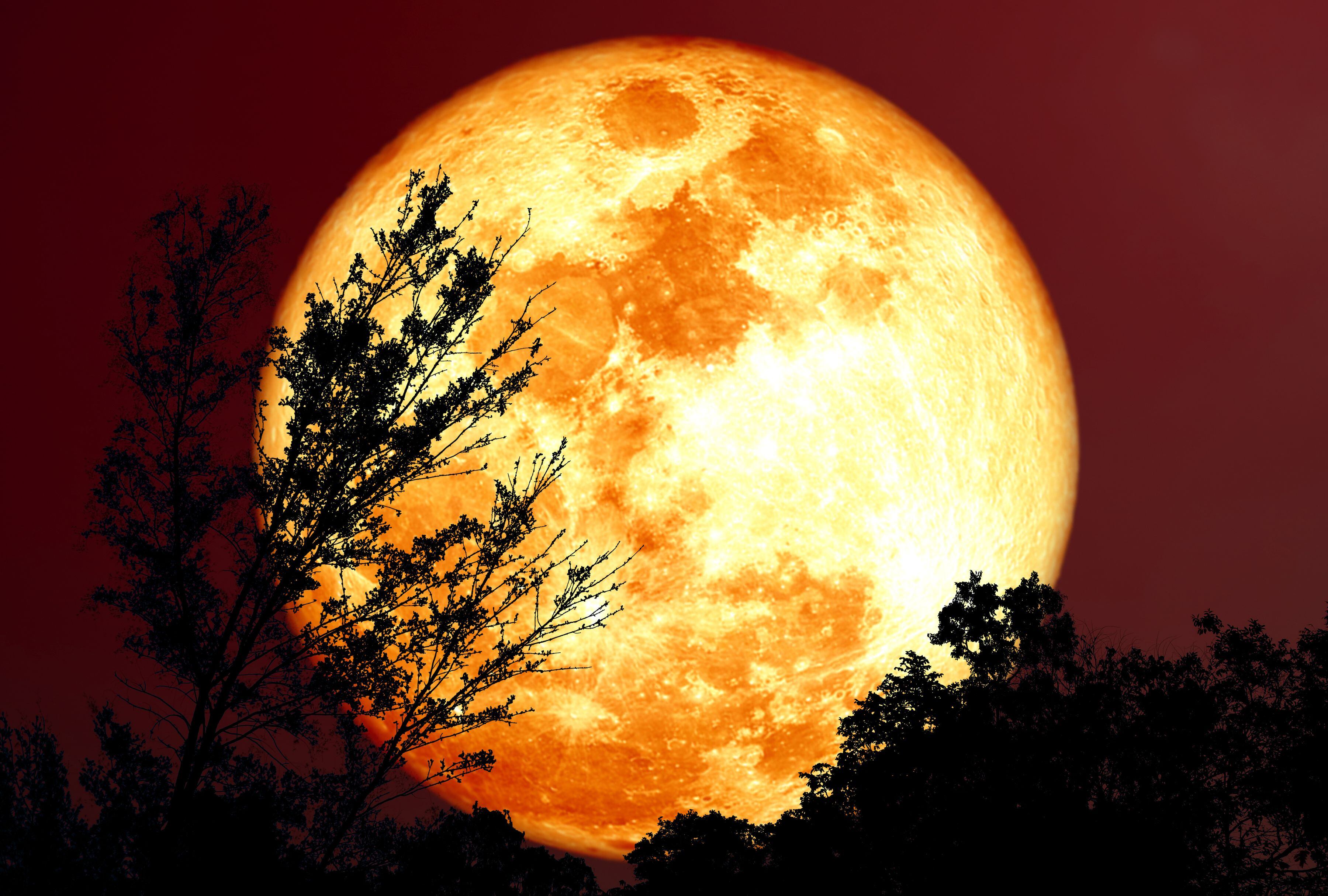 Durante la madrugada del sábado 9 de agosto se verá en su máximo esplendor la Luna de Esturión. (Foto: Chayanan/iStock)