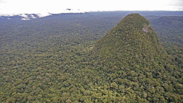 Sierra del Divisor: el esperado reconocimiento [FOTOS]