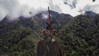 Desafíos ambientales de Perú 2025: urge la lucha eficaz contra las economías ilícitas y preocupan las consecuencias del debilitamiento ambiental