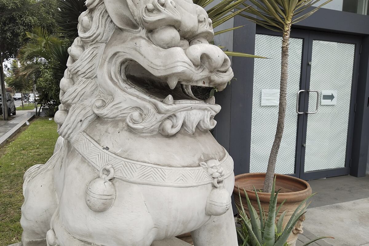 Así tomas las fotos el Honor X9. (Foto: MAG - Rommel Yupanqui)