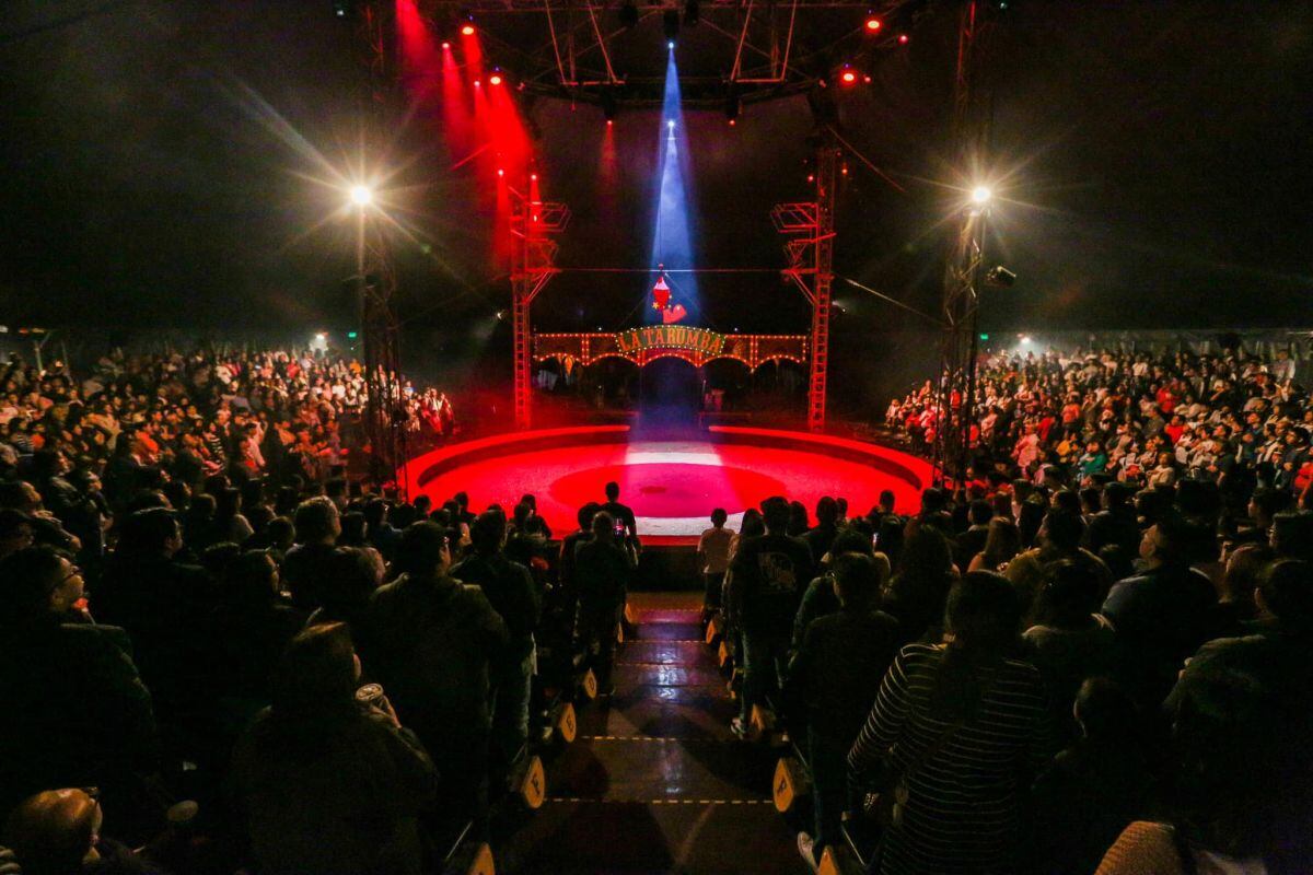 Una acróbata cayó al suelo durante la realización de un show en caballo. (Foto: Imagen referencial/Facebook de La Tarumba)