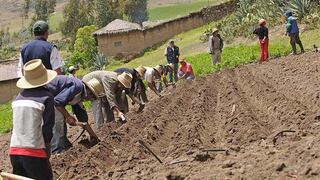 Hoy estaría listo dictamen de ley agraria para que se vote en Navidad: ¿qué iniciativas se han presentado?